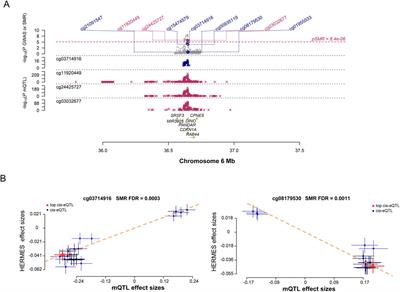 CDKN1A as a target of senescence in heart failure: insights from a multiomics study